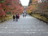 紅葉の馬場