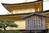 金閣寺