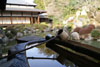 庭園