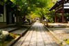 圓成寺