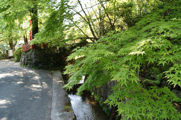 熊野若王子神社 - 【完全版】2021年京都観光の穴場937選！