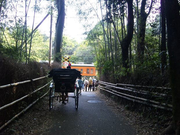 竹林の中の踏切 コトログ京都